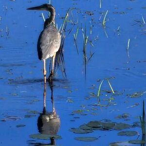 NOT FOR SALE NEW BUNDLE FOR @valsdailyfinds